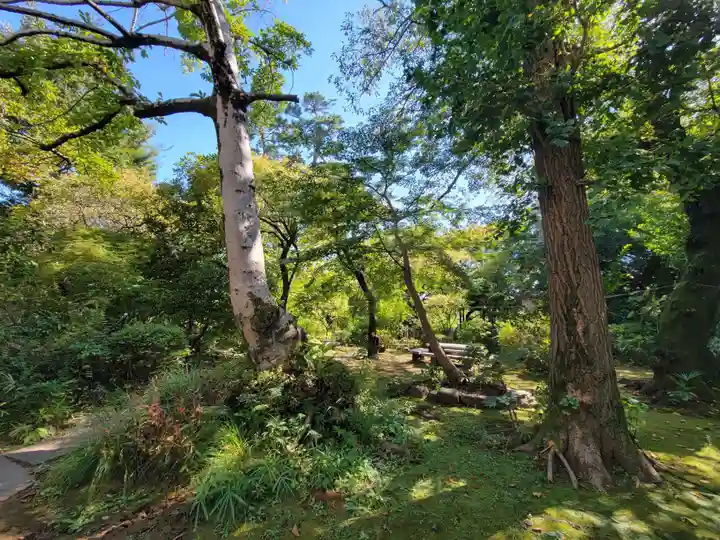 観蔵院 曼荼羅寺の自然