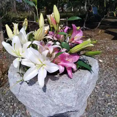 厚別神社(北海道)