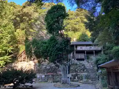 日龍峯寺(高澤観音)(美濃清水)(岐阜県)