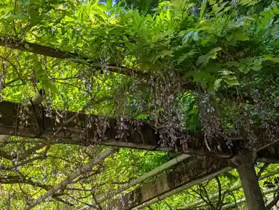 立木神社(滋賀県)