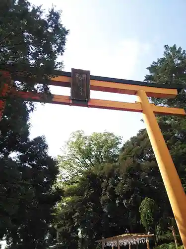 川越氷川神社の鳥居