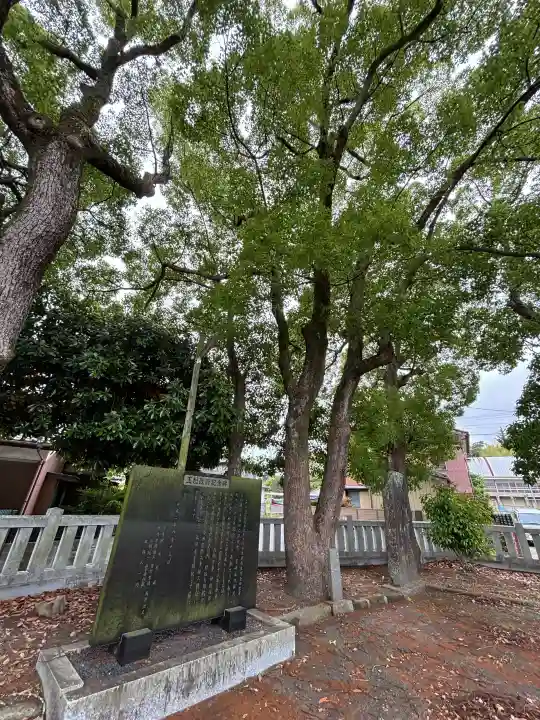 玉前神社の{uncategorized: "未分類", other: "その他", undefined: "問題あり", building: "その他建物", grave: "お墓", sacred_gate: "鳥居", guardian: "狛犬", statue: "像", buddha: "仏像", history: "歴史", nature: "自然", garden: "庭園", animal: "動物", pagoda: "塔", temizu: "手水舎", mountain_gate: "山門・神門", sanctuary: "本殿・本堂", subordinate: "末社・摂社", art: "芸術", scenery: "景色", jizo: "地蔵", ema: "絵馬", goshuin: "御朱印", omikuji: "おみくじ", items: "授与品その他", amulet: "お守り", goshuincho: "御朱印帳", eats: "食事", festival: "お祭り", votive_dance: "神楽", shichigosan: "七五三参", wedding: "結婚式", experience: "体験その他", initially: "初詣", around: "周辺", anti_infection: "感染症対策"}