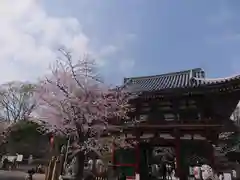 瀧泉寺（目黒不動尊）の建物その他