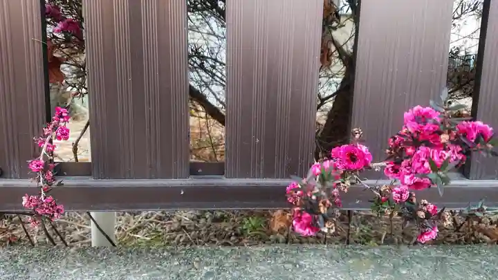 立浪稲荷大明神の自然