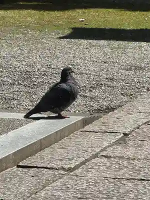 熊野速玉大社の御朱印