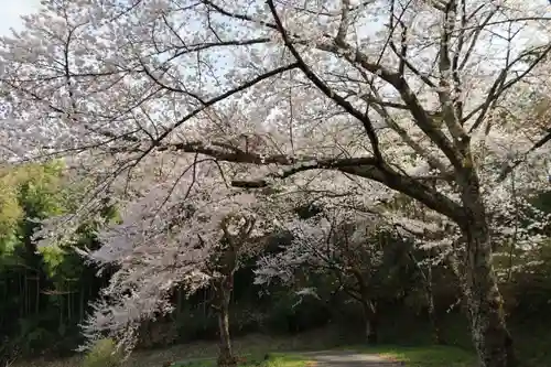 三春大神宮の自然