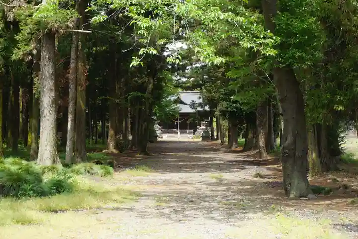 桜町二宮神社の自然