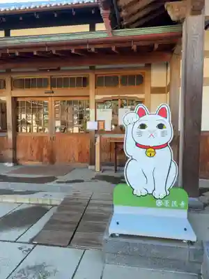 豪徳寺(東京都)