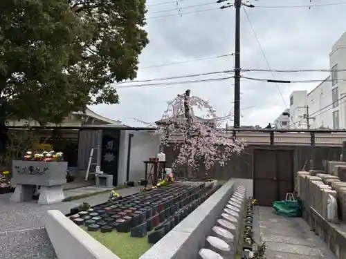 興徳寺(大阪府)