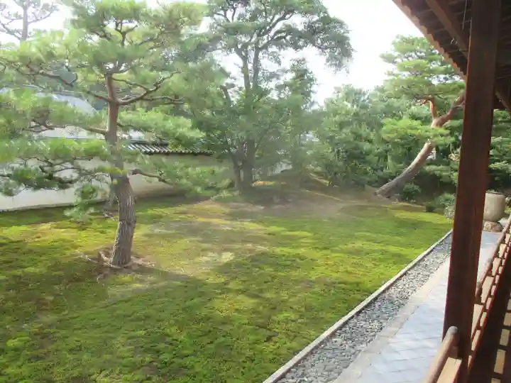 相国寺(相国承天禅寺)の庭園