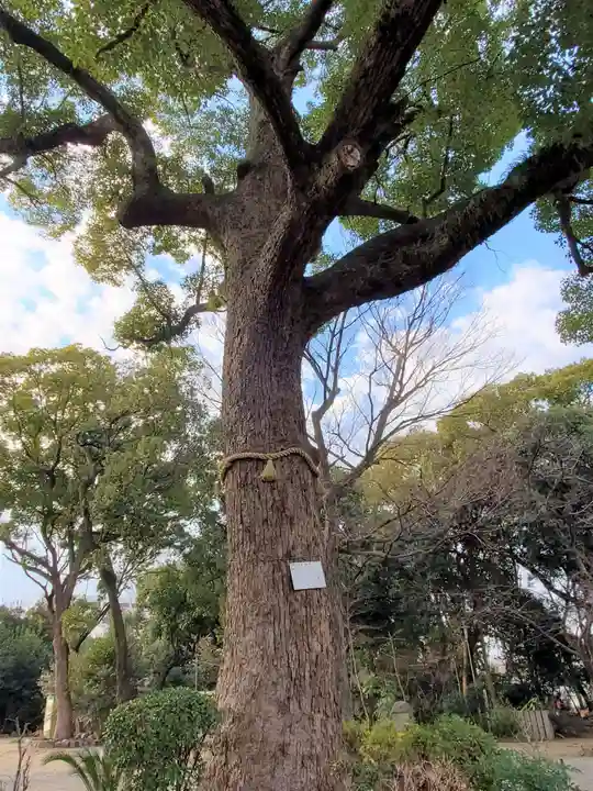 東天神社の自然