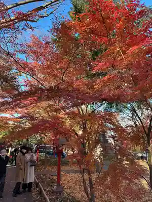 淨眞寺(東京都)