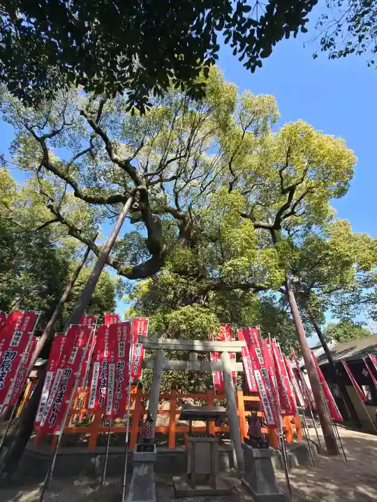 住吉大社の{uncategorized: "未分類", other: "その他", undefined: "問題あり", building: "その他建物", grave: "お墓", sacred_gate: "鳥居", guardian: "狛犬", statue: "像", buddha: "仏像", history: "歴史", nature: "自然", garden: "庭園", animal: "動物", pagoda: "塔", temizu: "手水舎", mountain_gate: "山門・神門", sanctuary: "本殿・本堂", subordinate: "末社・摂社", art: "芸術", scenery: "景色", jizo: "地蔵", ema: "絵馬", goshuin: "御朱印", omikuji: "おみくじ", items: "授与品その他", amulet: "お守り", goshuincho: "御朱印帳", eats: "食事", festival: "お祭り", votive_dance: "神楽", shichigosan: "七五三参", wedding: "結婚式", experience: "体験その他", initially: "初詣", around: "周辺", anti_infection: "感染症対策"}