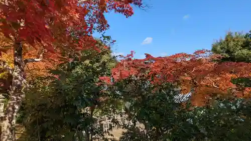 二尊院(京都府)