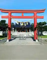 美瑛神社(北海道)