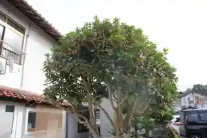 成蓮寺(島根県)(2023年10月27日(金) 15時18分40秒投稿)