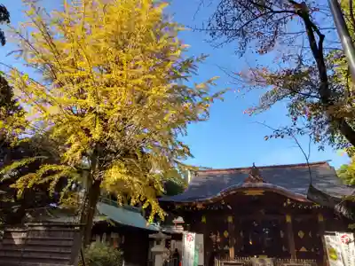 渋谷氷川神社(東京都)