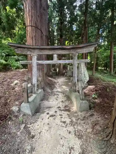 犬の宮猫の宮(山形県)