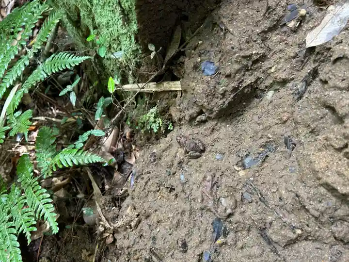 猿田神社(千葉県)
