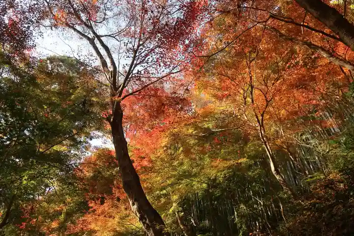 神應寺(京都府)