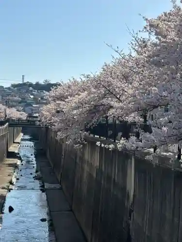 白菊稲荷大神(兵庫県)
