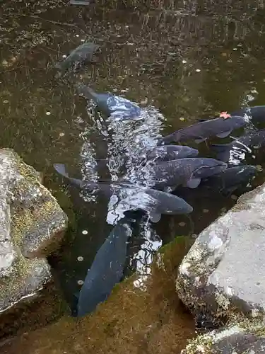 箱根神社(神奈川県)