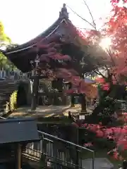 禅林寺（永観堂）の建物その他