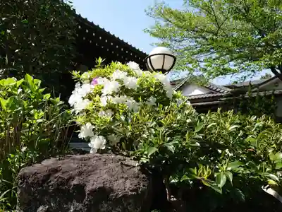 泉秋寺の自然