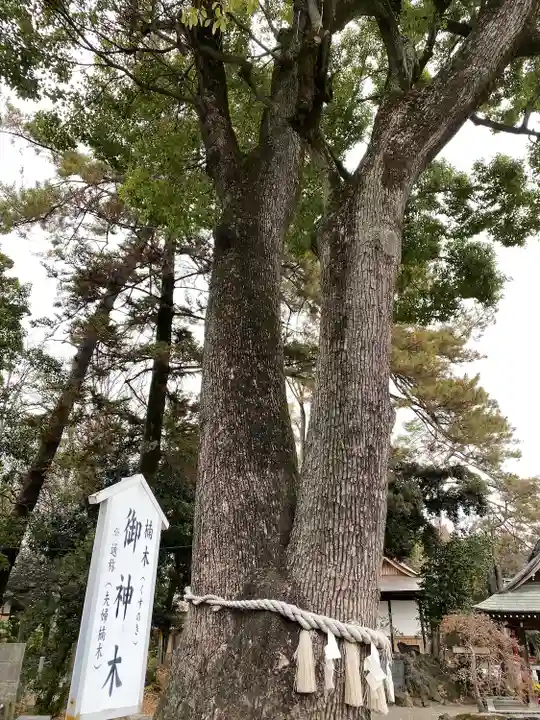 玉村八幡宮のその他建物