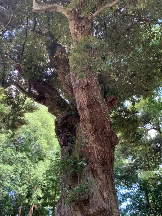 稲田神社(茨城県)