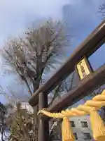 中の島神社の鳥居