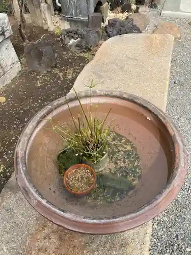 常性寺のその他建物