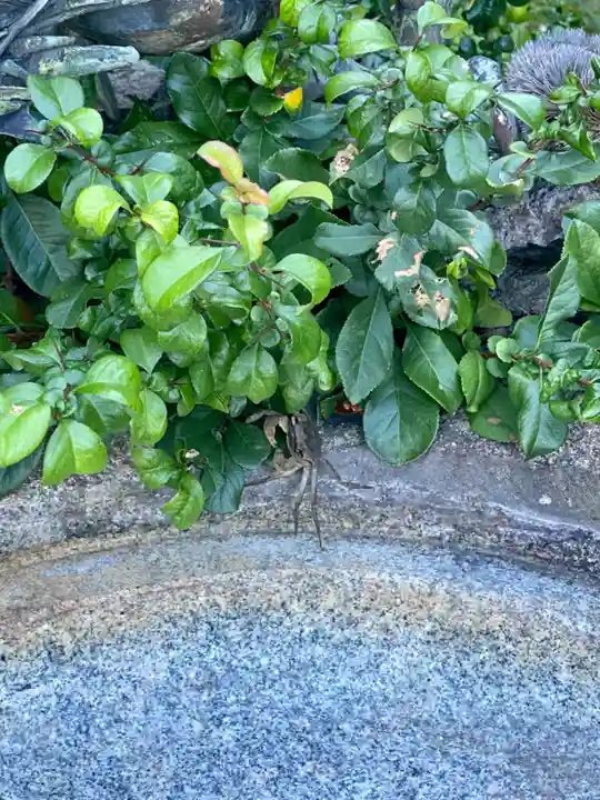 龍雲寺(京都府)