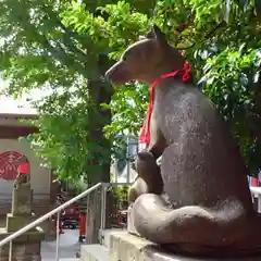 池尻稲荷神社の狛犬