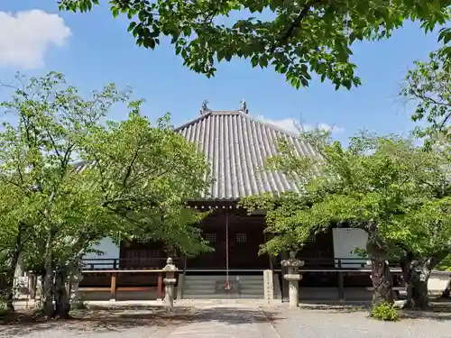 教信寺の本殿・本堂