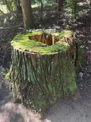 鹿島大神宮(福島県)