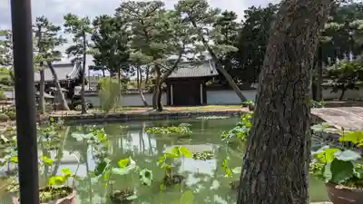 相国寺（相国承天禅寺）(京都府)