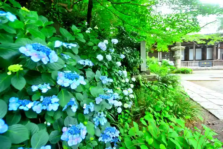 高幡不動尊 金剛寺(東京都)
