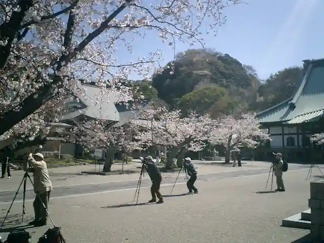光明寺のその他建物