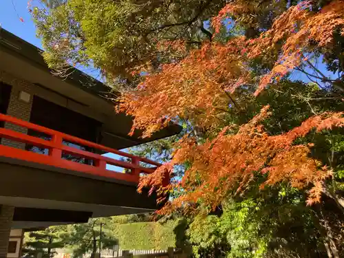 城南宮(京都府)