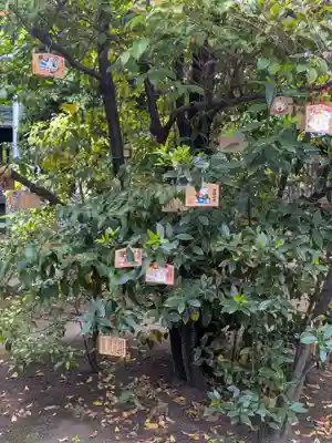 荏原神社(東京都)