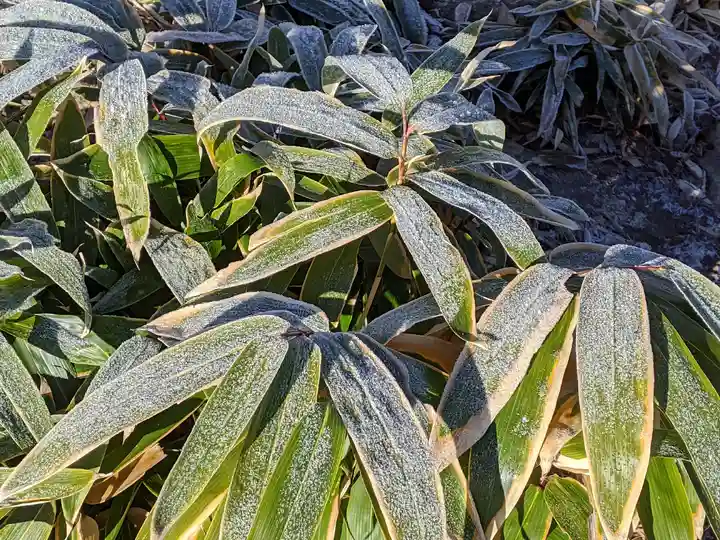 恵那神社奥宮本社(長野県)