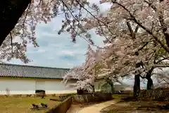 滋賀県護国神社(滋賀県)