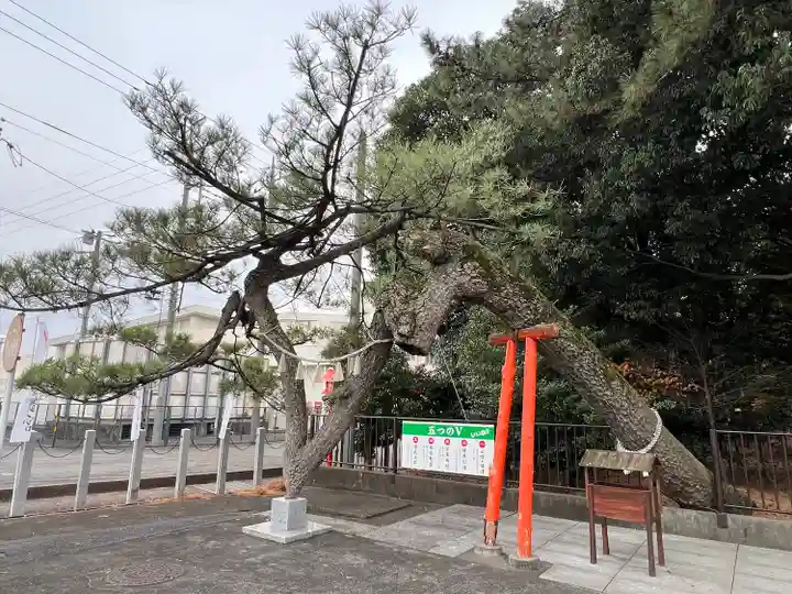 玉村八幡宮(群馬県)