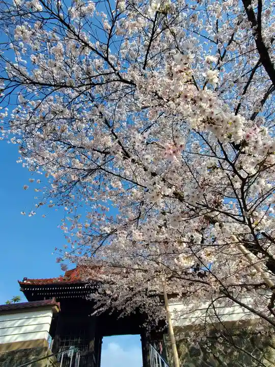 如宝寺(福島県)