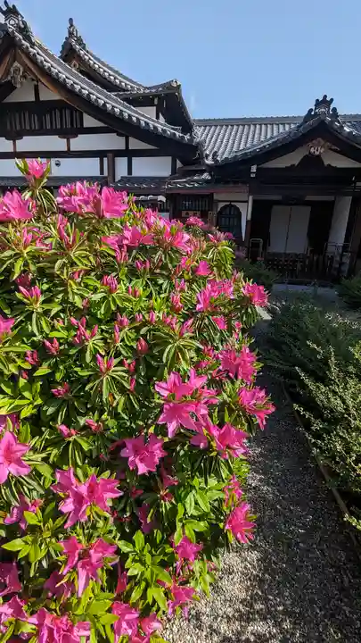 日體寺(京都府)