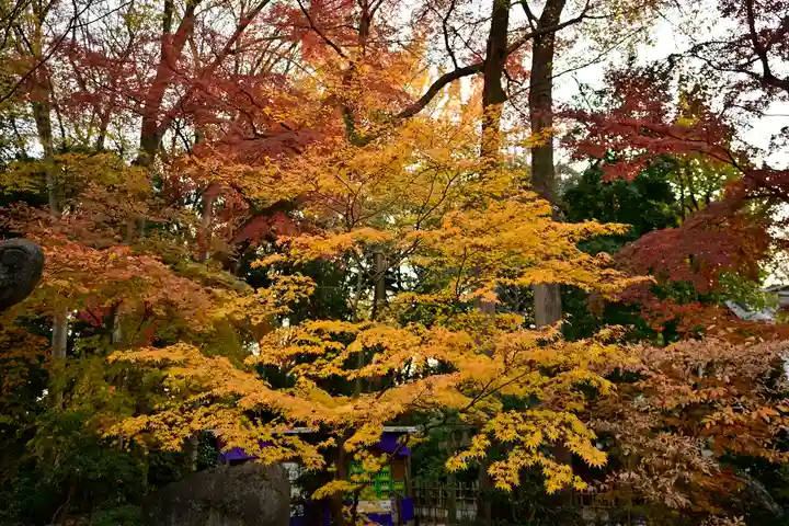 大國魂神社(東京都)