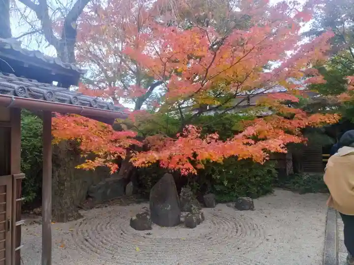 光明院(光明禅院)(京都府)