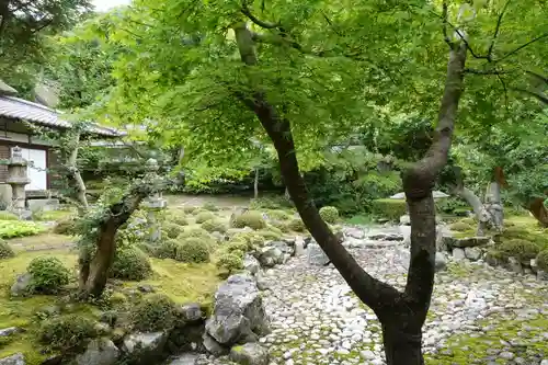 金剛寺の庭園