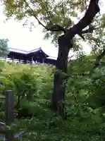 東福禅寺(東福寺)(京都府)